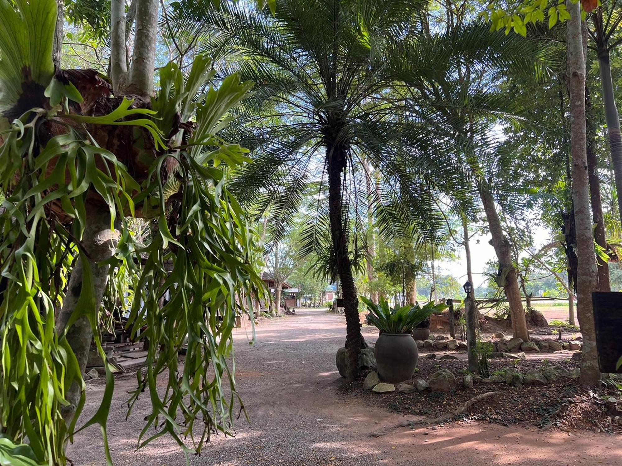 Pang Mai Resort Сонгкхла Екстер'єр фото