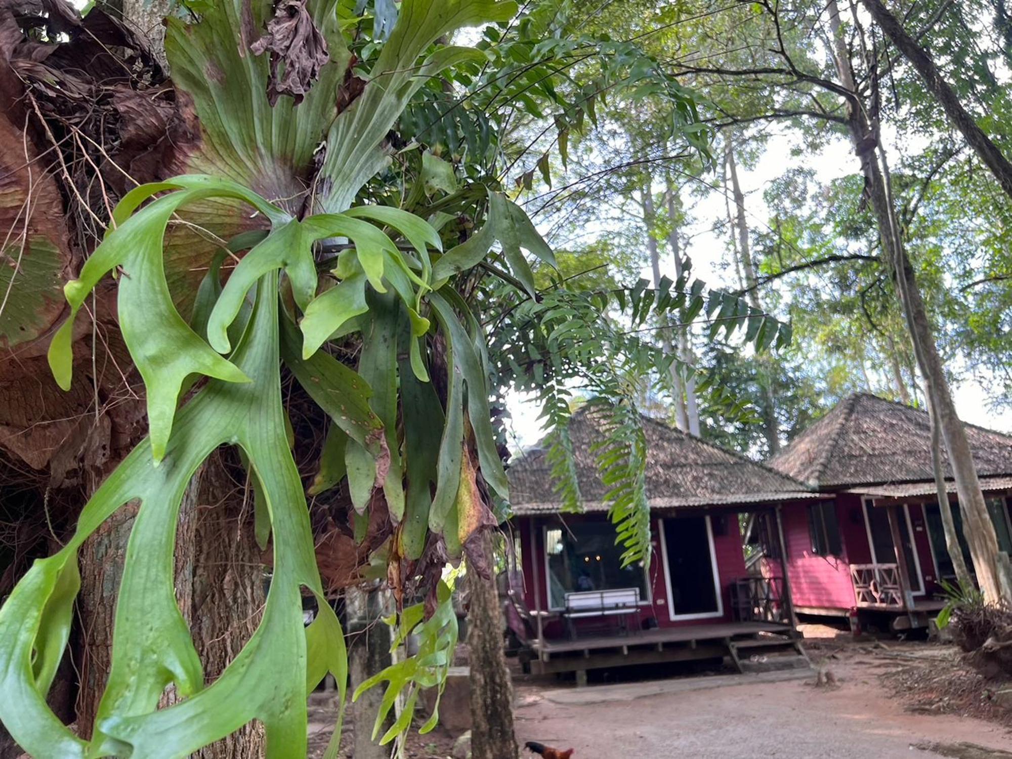 Pang Mai Resort Сонгкхла Екстер'єр фото